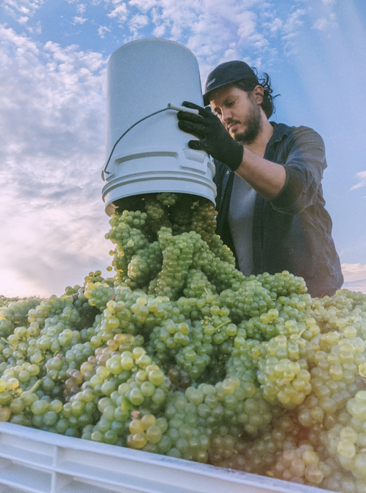 best natural wine australia