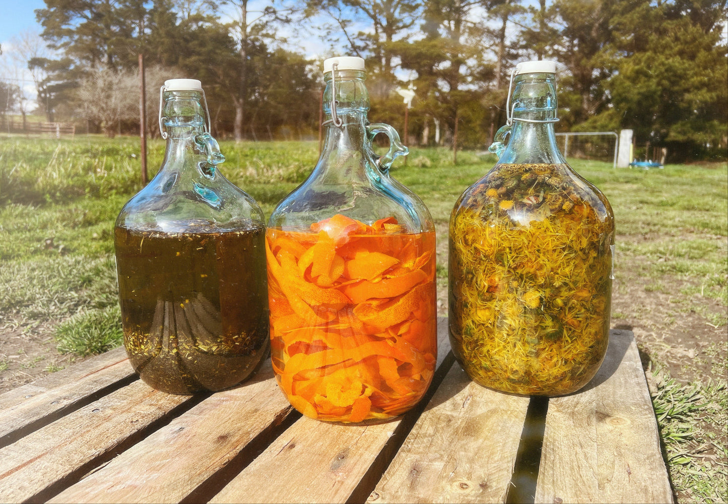 A Vermouth - $35 LUC