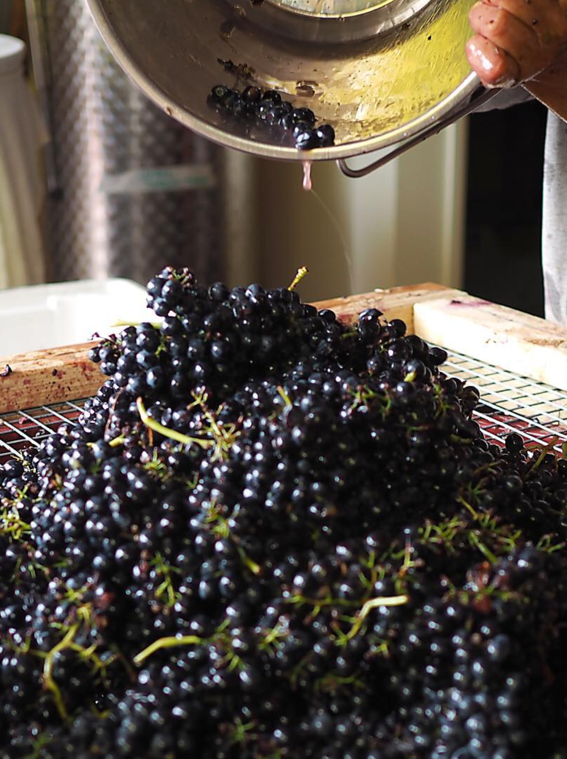 Making natural wine near me